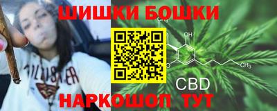 индика Кулебаки