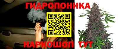 индика Кулебаки
