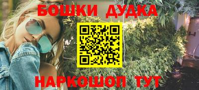индика Кулебаки