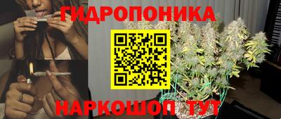 индика Кулебаки